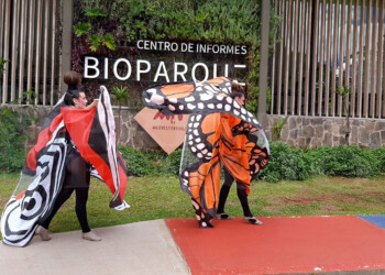 Comenzó el Festival Internacional Mujeres Tierra Roja