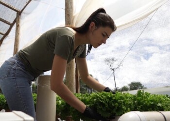 Destacaron el trabajo de las mujeres en el ámbito rural