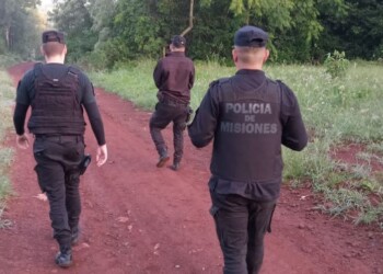 Asestó un “culatazo” a un vecino y disparó contra la Policía
