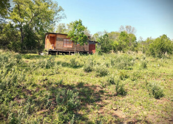 Hallan muertos en Profundidad a una joven y a su bebé de cuatro meses