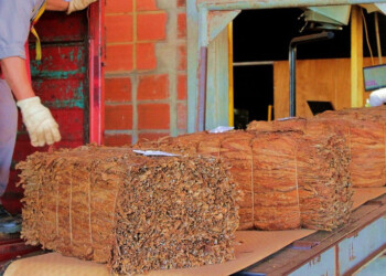 Tras el dólar agro, exportadores misioneros piden otro tipo de cambio más “competitivo”