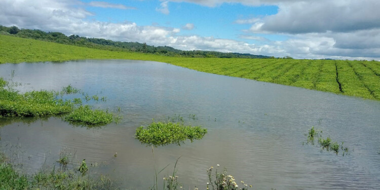 TODOS LOS DESASTRES JUNTOS. Al retraso en los pagos se le suma la demora en la cosecha por temporales.