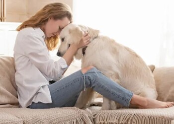 Ellos, ¿entienden nuestras emociones?