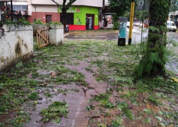 Hasta el momento no se registraron heridos por el temporal en Posadas