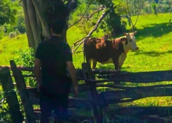 Cansado de los delitos rurales, ofrece $1 millón a quienes aporten datos que lleven a detenciones