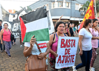 “El DNU termina siendo un avasallamiento de las facultades del Congreso”