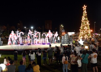 Se realizó en Posadas el encendido del Árbol de Navidad