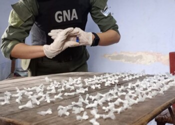 Gendarmería incautó cocaína en búnker de un barrio correntino