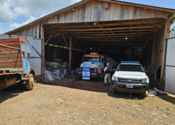 Allanan un galpón repleto de soja para contrabando