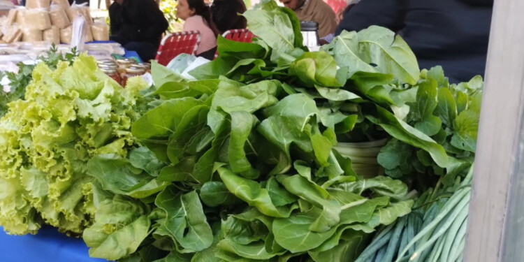 FALTANTES. Podría haber escasez de algunos productos en las ferias francas misioneras a raíz del fenómeno “El Niño”.