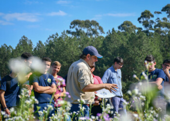 “En Misiones estamos realmente con mucha potencialidad”