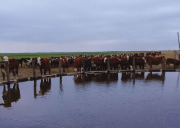 Invertir en infraestructura, clave para una gestión de agua eficiente