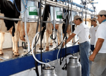 La leche más barata del mundo era la argentina