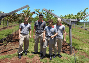 Apertura importadora perjudicaría el sueño del Malbec de la Selva