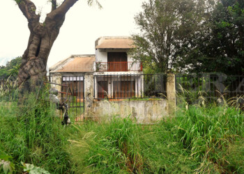 Rescatista de animales fue hallada sin vida e investigan si fue devorada por sus 40 perros