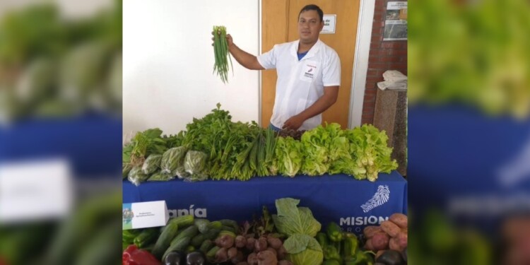 FERIAS FRANCAS. Un espacio saludable y económico para las familias en tiempos de crisis.