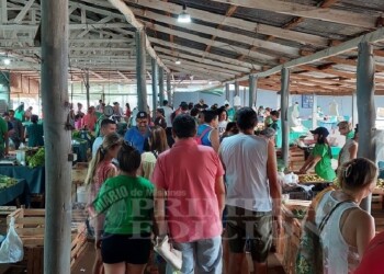 Otro clásico de Navidad: las ventas de carnes y verduras movilizaron las ferias y el Mercado Concentrador