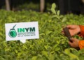 Editorial: desregular, el posible final ya anunciado del INYM