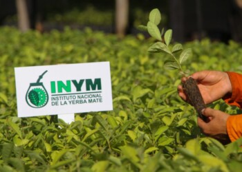 Editorial: desregular, el posible final ya anunciado del INYM