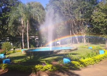 La Expo Holística y de Bienestar “Misiones Vibra Alto” sale a escena el fin de semana y al aire libre