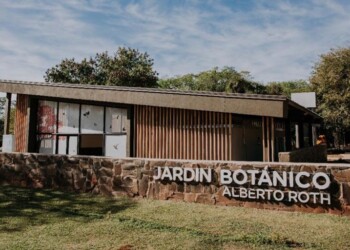 La Expo Holística y de Bienestar “Misiones Vibra Alto” sale a escena el fin de semana y al aire libre