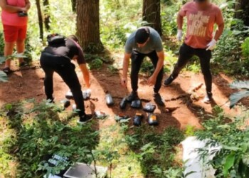 Secuestraron en Eldorado marihuana valuada en más de un millón y medio de pesos