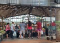 Otro clásico de Navidad: las ventas de carnes y verduras movilizaron las ferias y el Mercado Concentrador
