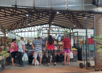 Otro clásico de Navidad: las ventas de carnes y verduras movilizaron las ferias y el Mercado Concentrador