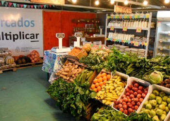 Mercado Multiplicar: ¿dónde está, en qué consiste y a quiénes beneficia?