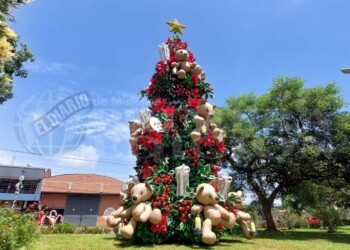 Capioví y la magia de la Navidad artesanal: este domingo se enciende el árbol y comienza la fiesta