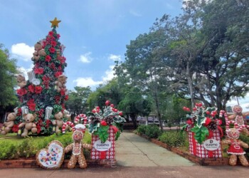 Capioví y la magia de la Navidad artesanal: este domingo se enciende el árbol y comienza la fiesta