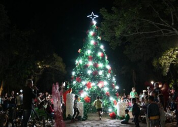 Apóstoles encendió su árbol de Navidad en Plaza San Martín