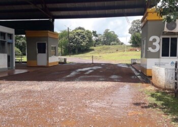 Rumbo a Brasil: a partir del 1 de enero se habilitaría el Paso Rosales