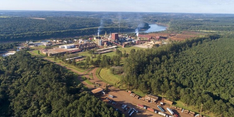 EXCEDIDO. La multinacional radicada en Puerto Esperanza supera el límite de territorio ocupado, impuesto por la Ley 26.737, por lo que tuvo varios pedidos de expropiación de tierras.