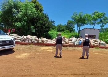 Incautaron en El Soberbio más de nueve toneladas de soja ilegal 