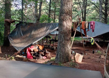 Clausuraron campamento de tareferos por pésimas condiciones laborales