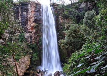 Cuáles son los nuevos precios en los parques provinciales de Misiones