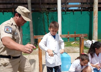 El Soberbio: Prefectura y estudiantes de primaria, juntos por el cuidado de los peces del río Uruguay