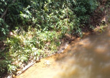 Joven murió ahogado en un arroyo de Jardín América