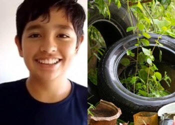 Un misionero de 12 años creó una aplicación para la lucha contra el dengue