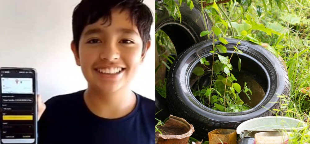 Un misionero de 12 años creó una aplicación para la lucha contra el dengue