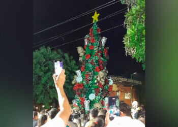 Capioví encendió su árbol de la Navidad