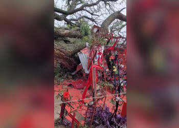 Un árbol cayó por la tormenta y destrozó la tumba del Gauchito Gil en Mercedes