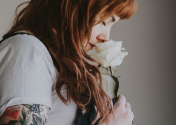 El camino está abierto