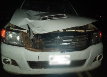 Una mujer murió embestida por una camioneta en Bernardo de Irigoyen