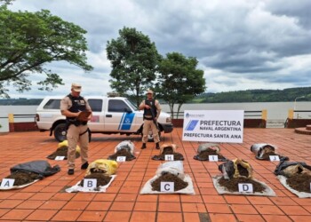 Secuestraron 113 kilos de cogollos de marihuana en Santa Ana