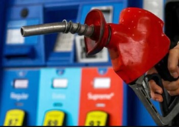 ¿A cuánto subirá la nafta tras la asunción de Milei?