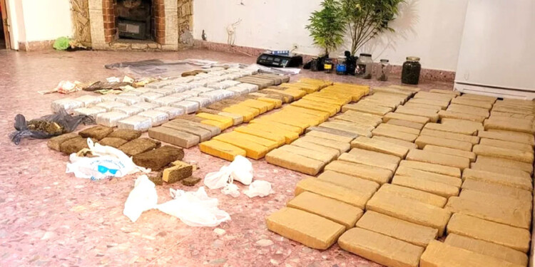 “FLORENCIA”. Ese era el nombre clave de los compradores para solicitar cogollos o “flores” de marihuana a los proveedores misioneros.