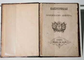 Cuál es el artículo de la Constitución Nacional que podría hacer caer el DNU de Milei