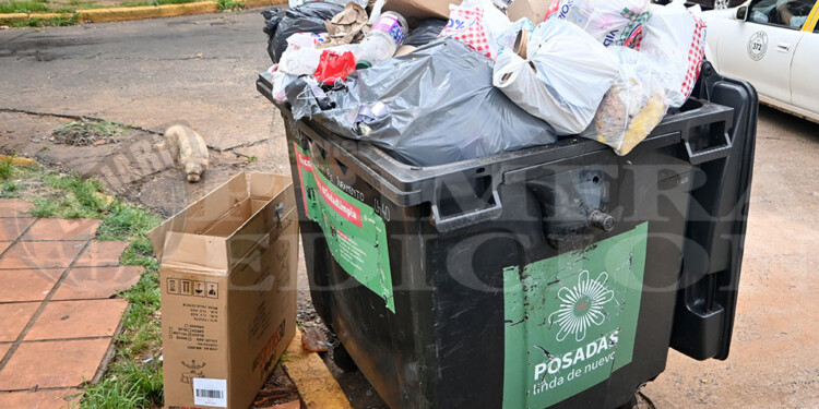 COMPLETOS. Hay barrios donde los contenedores no dan abasto y las bolsas terminan en el suelo.